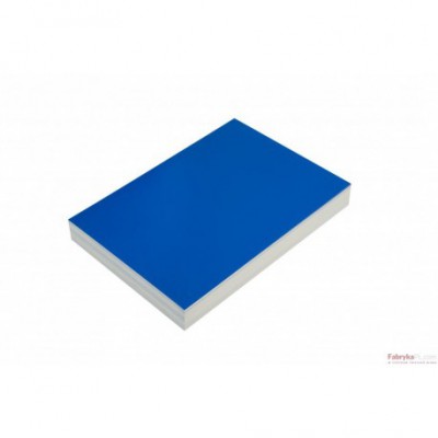 Karton do bindowania DATURA A4 (100) Chromo niebieski