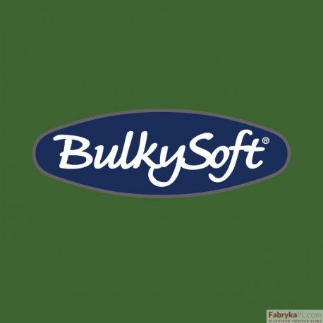 BulkySoft Serwetki 24x24, 2 warstwy 100 sztuk zielony