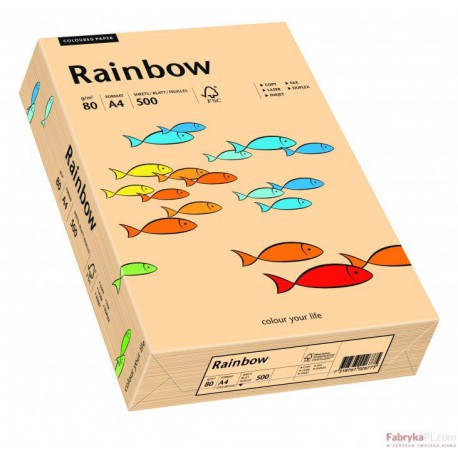 Papier xero kolorowy Rainbow łosiosiowy 40